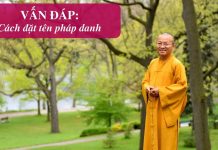 Vấn đáp: Cách đặt tên pháp danh – Thích Nhật Từ van dap cach dat ten phap danh t