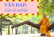 Vấn đáp: Cận tử nghiệp – Thích Nhật Từ van dap can tu nghiep thich nhat
