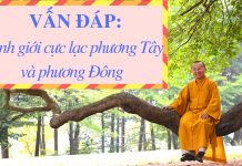 Vấn đáp: Cảnh giới cực lạc phương Tây và phương Đông – Thích Nhật Từ van dap canh gioi cuc lac phuong