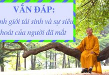 Vấn đáp: Cảnh giới tái sinh và sự siêu thoát của người đã mất – Thích Nhật Từ van dap canh gioi tai sinh va su