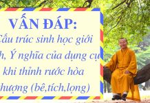 Vấn đáp: Cấu trúc sinh học giới tính, Ý nghĩa của dụng cụ khi thỉnh rước hòa thượng – Thích Nhật Từ van dap cau truc sinh hoc gioi t