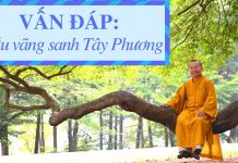Vấn đáp: Cầu vãng sanh Tây Phương – Thích Nhật Từ van dap cau vang sanh tay phuong