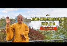 Vấn đáp: Chánh Niệm Trong Hơi Thở, Thiền Từ Bi – Thích Nhật Từ van dap chanh niem trong hoi tho