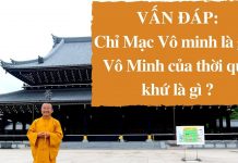 Vấn đáp: Chi mạc Vô minh – Thích Nhật Từ van dap chi mac vo minh thich nh