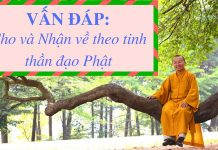 Vấn đáp: Cho và Nhận về theo tinh thần đạo Phật – Thích Nhật Từ van dap cho va nhan ve theo tinh
