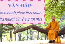Vấn đáp: Chọn hạnh phúc hôn nhân giữa người cũ và người mới – Thích Nhật Từ van dap chon hanh phuc hon nhan