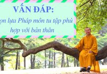 Vấn đáp: Chọn lựa Pháp môn tu tập phù hợp với bản thân – Thích Nhật Từ van dap chon lua phap mon tu tap