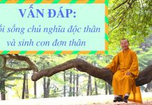 Vấn đáp: Chủ nghĩa độc thân, sinh con đơn thân – Thích Nhật Từ van dap chu nghia doc than sinh