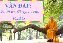 Vấn đáp: Chư ni và việc quy y cho Phật tử – Thích Nhật Từ van dap chu ni va viec quy y cho