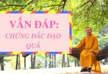 Vấn đáp: Chứng đắc đạo quả – Thích Nhật Từ van dap chung dac dao qua thich