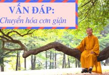 Vấn đáp: Chuyển hóa cơn giận – Thích Nhật Từ van dap chuyen hoa con gian thic