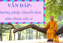 Vấn đáp: Chuyển hóa tham sân si – Thích Nhật Từ van dap chuyen hoa tham san si t