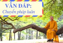 Vấn đáp: Chuyển pháp luân – Thích Nhật Từ van dap chuyen phap luan thich n