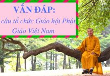 Vấn đáp: Cơ cấu tổ chức Giáo hội Phật Giáo VN – Thích Nhật Từ van dap co cau to chuc giao hoi
