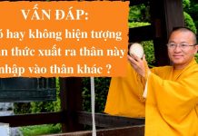 Vấn đáp: Có hay không hiện tượng thần thức xuất ra thân này nhập vào thân khác – Thích Nhật Từ van dap co hay khong hien tuong