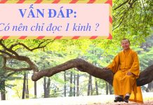 Vấn đáp: Có nên chỉ đọc 1 kinh – Thích Nhật Từ van dap co nen chi doc 1 kinh th