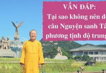 Vấn đáp: Có nên đọc câu “Nguyện sanh Tây phương tịnh độ trung” – Thích Nhật Từ van dap co nen doc cau nguyen sa