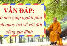Vấn đáp: Có nên giúp người phụ tình quay trở về với đời sống gia đình – Thích Nhật Từ van dap co nen giup nguoi phu ti