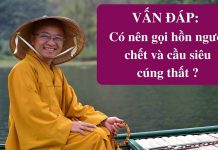 Vấn đáp: Có nên gọi hồn người chết và cầu siêu cúng thất – Thích Nhật Từ van dap co nen goi hon nguoi che