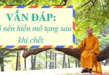 Vấn đáp: Có nên hiến mô tạng sau khi chết – Thích Nhật Từ van dap co nen hien mo tang sau