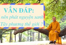 Vấn đáp: Có nên phát nguyện sanh về Tây phương thế giới ? – Thích Nhật Từ van dap co nen phat nguyen sanh