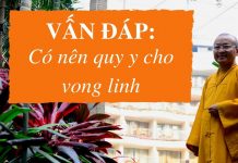 Vấn đáp: Có nên quy y cho vong linh – Thích Nhật Từ van dap co nen quy y cho vong li
