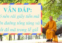 Vấn đáp: Có nên rãi giấy tiền mã trên đường tống táng và đốt đồ mã trong lễ giỗ – Thích Nhật Từ van dap co nen rai giay tien ma