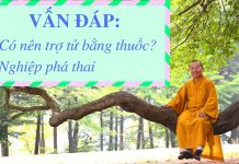 Vấn đáp: Có nên trợ tử bằng thuốc, nghiệp phá thai – Thích Nhật Từ van dap co nen tro tu bang thuoc