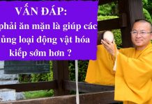 Vấn đáp: Có phải ăn mặn là giúp các chủng loại động vật hóa kiếp sớm hơn? – Thích Nhật Từ van dap co phai an man la giup c