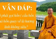 Vấn đáp: Có phải gọi hồn, cầu hồn mà hồn quay về là hương linh không siêu – Thích Nhật Từ van dap co phai goi hon cau hon