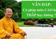 Vấn đáp: Có pháp môn cao hoặc thấp hay không – Thích Nhật Từ van dap co phap mon cao hoac tha