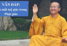 Vấn đáp: Con mắt tuệ giác trong Phật giáo – Thích Nhật Từ van dap con mat tue giac trong p
