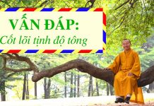 Vấn đáp: Cốt lõi tịnh độ tông – Thích Nhật Từ van dap cot loi tinh do tong thi