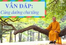 Vấn đáp: Cúng dường chư tăng – Thích Nhật Từ van dap cung duong chu tang thic