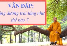 Vấn đáp: Cúng dường sao cho đúng – Thích Nhật Từ van dap cung duong sao cho dung