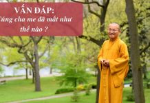 Vấn đáp: Cúng tổ tiên – Thích Nhật Từ van dap cung to tien thich nhat