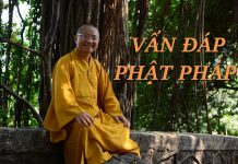 Vấn đáp: Dẫn dắt giới trẻ theo Phật, hôn nhân khác tôn giáo – Thích Nhật Từ van dap dan dat gioi tre theo ph