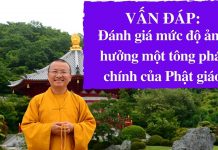 Vấn đáp: Đánh giá mức độ ảnh hưởng một tông phái chính của Phật giáo – Thích Nhật Từ van dap danh gia muc do anh huon