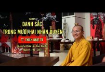 Vấn đáp: Danh sắc trong 12 nhân duyên – Thích Nhật Từ van dap danh sac trong 12 nhan d