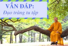 Vấn đáp: Đạo tràng tu tập – Thích Nhật Từ van dap dao trang tu tap thich n