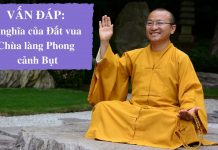 Vấn đáp: Đất vua – Chùa làng – Phong cảnh Bụt – Thích Nhật Từ van dap dat vua chua lang phong