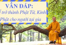 Vấn đáp: Để trở thành Phật Tử, Kinh Phật cho người tại gia – Thích Nhật Từ van dap de tro thanh phat tu kin