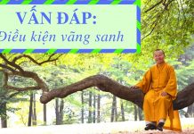 Vấn đáp: Điều kiện vãng sanh – Thích Nhật Từ van dap dieu kien vang sanh thic 1