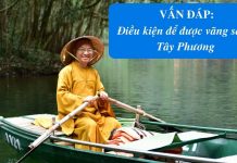 Vấn đáp: Điều kiện vãng sanh – Thích Nhật Từ van dap dieu kien vang sanh thic