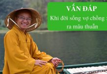 Vấn đáp: Đời sống vợ chồng – Thích Nhật Từ van dap doi song vo chong thich