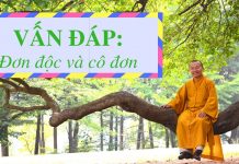 Vấn đáp: Đơn độc và cô đơn – Thích Nhật Từ van dap don doc va co don thich