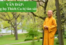 Vấn đáp: Dòng họ Thích Ca bị tàn sát – Thích Nhật Từ van dap dong ho thich ca bi tan