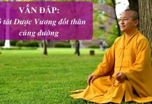 Vấn đáp: Đốt thân cúng dường – Thích Nhật Từ van dap dot than cung duong thic