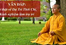 Vấn đáp: Dự tri thời chí, kinh nghiệm làm trụ trì – Thích Nhật Từ van dap du tri thoi chi kinh ngh