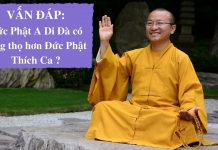 Vấn đáp: Đức Phật A Di Đà có sống thọ hơn Đức Phật Thích Ca ? – Thích Nhật Từ van dap duc phat a di da co song
